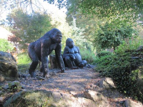 Výlet do minizoo Plasy